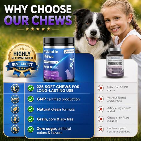 Dog Probiotic Soft Chews 225 Count 450g, 2B CFU 6 Heat-Stable Strains with Pumpkin Papaya, Digestive Support for Puppy Adult Senior Dogs in Kuwait
