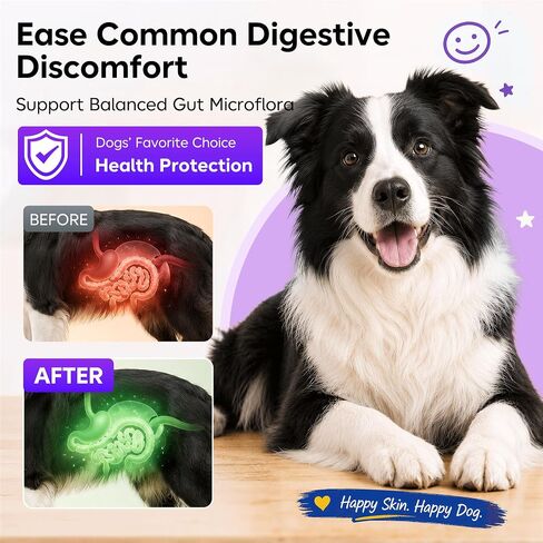 Dog Probiotic Soft Chews 225 Count 450g, 2B CFU 6 Heat-Stable Strains with Pumpkin Papaya, Digestive Support for Puppy Adult Senior Dogs in Kuwait