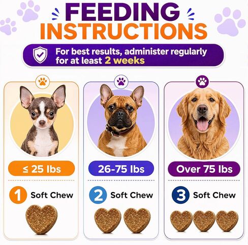 Dog Probiotic Soft Chews 225 Count 450g, 2B CFU 6 Heat-Stable Strains with Pumpkin Papaya, Digestive Support for Puppy Adult Senior Dogs in Kuwait