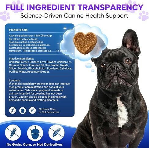 Dog Probiotic Soft Chews 225 Count 450g, 2B CFU 6 Heat-Stable Strains with Pumpkin Papaya, Digestive Support for Puppy Adult Senior Dogs in Kuwait