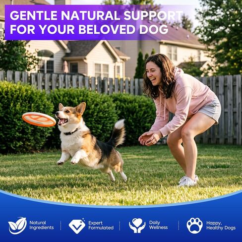 Dog Probiotic Soft Chews 225 Count 450g, 2B CFU 6 Heat-Stable Strains with Pumpkin Papaya, Digestive Support for Puppy Adult Senior Dogs in Kuwait