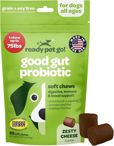 Probiotic Chews for Dogs Gut Health | Tasty Pre and Probiotics for Dogs Digestive Health with Pumpkin Dog Probiotics and Digestive Enzymes | NASC Certified & Made in The USA | 60 Chews in Kuwait