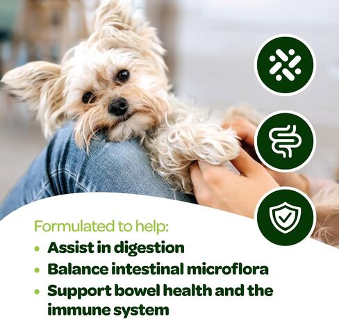 Probiotic Chews for Dogs Gut Health | Tasty Pre and Probiotics for Dogs Digestive Health with Pumpkin Dog Probiotics and Digestive Enzymes | NASC Certified & Made in The USA | 60 Chews in Kuwait