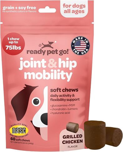 Probiotic Chews for Dogs Gut Health | Tasty Pre and Probiotics for Dogs Digestive Health with Pumpkin Dog Probiotics and Digestive Enzymes | NASC Certified & Made in The USA | 60 Chews in Saudi Arabia