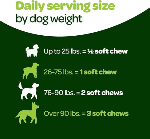 Probiotic Chews for Dogs Gut Health | Tasty Pre and Probiotics for Dogs Digestive Health with Pumpkin Dog Probiotics and Digestive Enzymes | NASC Certified & Made in The USA | 60 Chews in Kuwait