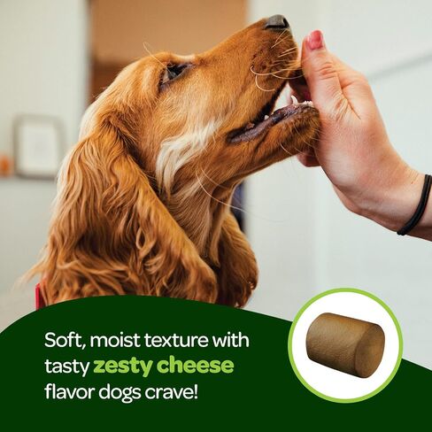 Probiotic Chews for Dogs Gut Health | Tasty Pre and Probiotics for Dogs Digestive Health with Pumpkin Dog Probiotics and Digestive Enzymes | NASC Certified & Made in The USA | 60 Chews in Kuwait