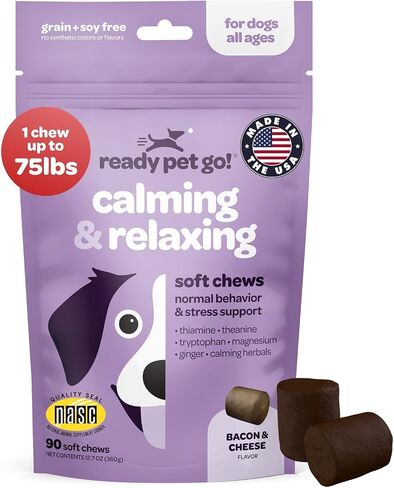 Probiotic Chews for Dogs Gut Health | Tasty Pre and Probiotics for Dogs Digestive Health with Pumpkin Dog Probiotics and Digestive Enzymes | NASC Certified & Made in The USA | 60 Chews in Kuwait