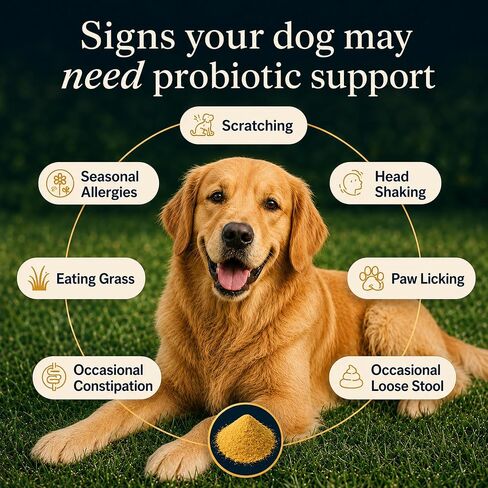 Zubest Probiotics for Dogs, Powder with Prebiotics, 4.2B CFU, 72 Servings in Kuwait