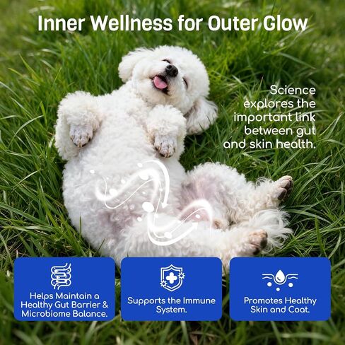 Probiotics for Dogs, 10B CFU, Digestive Health, 180 Chews in Kuwait