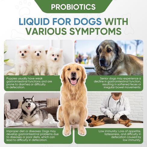 Probiotics for Dogs, Dog Constipation Relief, 2 Fl Oz in Kuwait