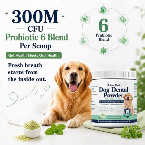 Dog Dental Powder with Probiotics, Dog Teeth Cleaning 200g in Kuwait
