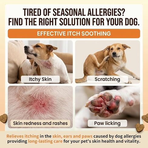 Allergy Chews for Dogs, Dog Probiotics, Yeast Support, Itchy Skin & Ears Relief, Hot Spots Support, for All Breeds & Sizes, 200g Soft Treats in Kuwait
