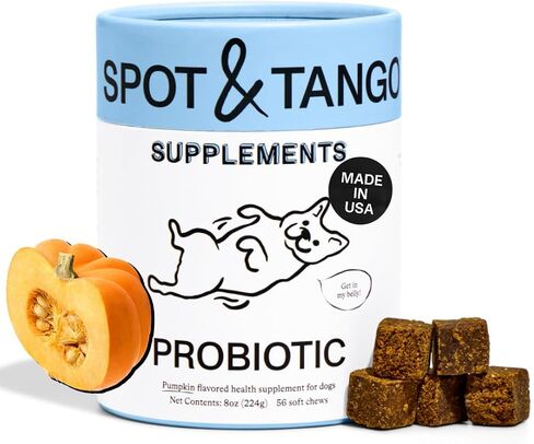 Spot & Tango Probiotics Supplements for Dogs - Vet-Approved for Healthy Digestion and Balanced Gut - Pumpkin, Turmeric, Chicory Root, Black Pepper, Nine-Strain Probiotic Blend, 56 Count in Kuwait