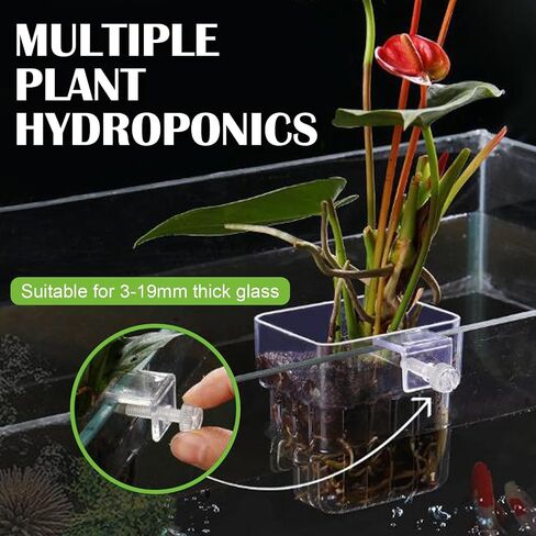 12 Pack Top Hanging Fish Tank Plant Pot Clear Aquarium Plant Holder with Hook Aquatic Plant Cup Holder Aquarium Aquatic P-lant Pot Water Landscape Decoration for P-lant Water Feature Decoration in Kuwait