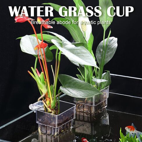 12 Pack Top Hanging Fish Tank Plant Pot Clear Aquarium Plant Holder with Hook Aquatic Plant Cup Holder Aquarium Aquatic P-lant Pot Water Landscape Decoration for P-lant Water Feature Decoration in Kuwait