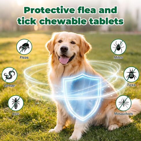 Flea and Tick Prevention for Dogs, Imidacloprid Soft Chews for Medium & Large Dogs 23–110 lbs, Fast-Acting Flea Treatment for Dogs, Helps Kill Fleas, Flea Eggs,Ticks & Mites, Oral Soft Chews, 30 Count in Kuwait
