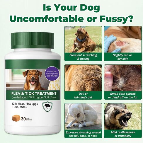 Flea and Tick Prevention for Dogs, Imidacloprid Soft Chews for Medium & Large Dogs 23–110 lbs, Fast-Acting Flea Treatment for Dogs, Helps Kill Fleas, Flea Eggs,Ticks & Mites, Oral Soft Chews, 30 Count in Kuwait