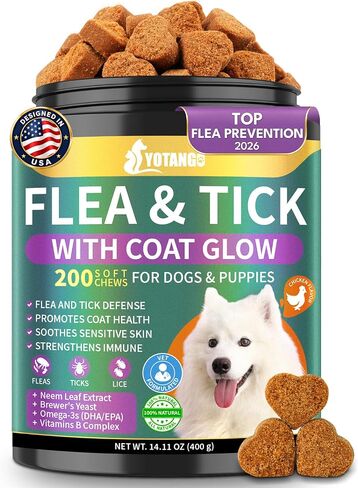 Flea and Tick Prevention for Dogs Chewables, Dog Flea and Tick Treatment in Kuwait