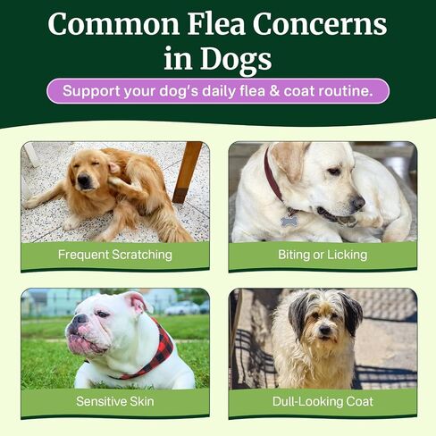 Flea and Tick Prevention for Dogs Chewables, Dog Flea and Tick Treatment in Kuwait