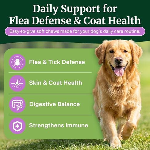 Flea and Tick Prevention for Dogs Chewables, Dog Flea and Tick Treatment in Kuwait