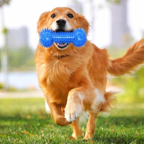 Bone Toys Tug Dogs Toothbrush for All Dogs Breeds in Kuwait