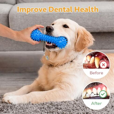 Bone Toys Tug Dogs Toothbrush for All Dogs Breeds in Kuwait