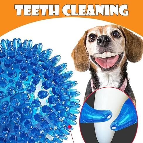 Bone Toys Tug Dogs Toothbrush for All Dogs Breeds in Kuwait