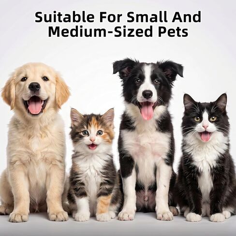 2 Pcs Small Dog Toothbrush, Cat Tooth Brush & Puppy Toothbrush in Kuwait