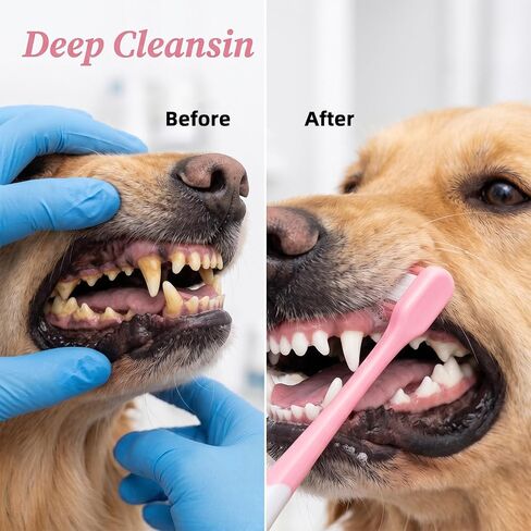 2 Pcs Small Dog Toothbrush, Cat Tooth Brush & Puppy Toothbrush in Kuwait