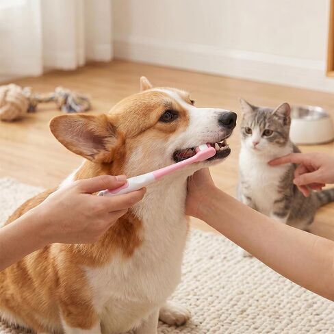 2 Pcs Small Dog Toothbrush, Cat Tooth Brush & Puppy Toothbrush in Kuwait