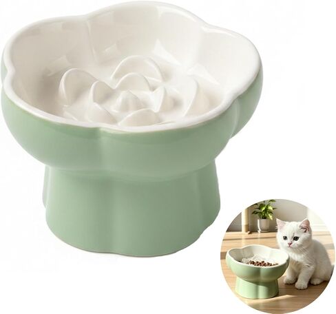 Ceramic Elevated Slow Feeder Cat Bowl, Whisker Friendly Dish 5.7" in Kuwait