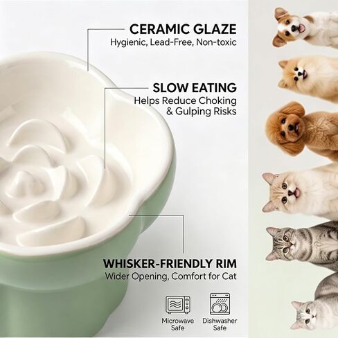 Ceramic Elevated Slow Feeder Cat Bowl, Whisker Friendly Dish 5.7" in Kuwait