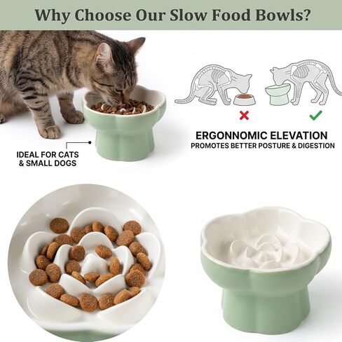 Ceramic Elevated Slow Feeder Cat Bowl, Whisker Friendly Dish 5.7" in Kuwait