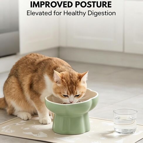 Ceramic Elevated Slow Feeder Cat Bowl, Whisker Friendly Dish 5.7" in Kuwait