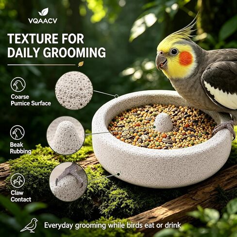 Bird Cage Pumice Stone Feeder Bowl Anti-Spill Suction Cup Water Dish Beak Claw Trimming Station for Parakeet Cockatiel Conure Lovebird Canary Small Parrot in Kuwait