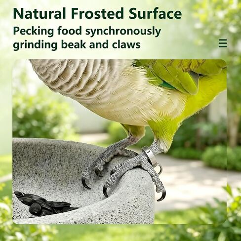 Bird Cage Pumice Stone Feeder Bowl Anti-Spill Suction Cup Water Dish Beak Claw Trimming Station for Parakeet Cockatiel Conure Lovebird Canary Small Parrot in Kuwait
