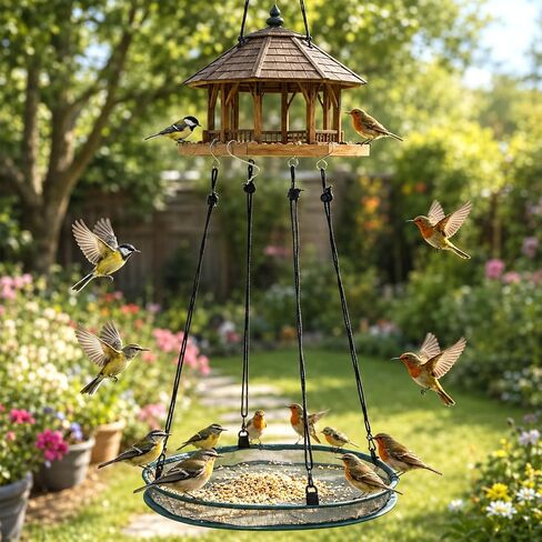 Xinjoduz 1 PCS 16 Inch Universal Wild Bird Seed Catcher Tray in Kuwait