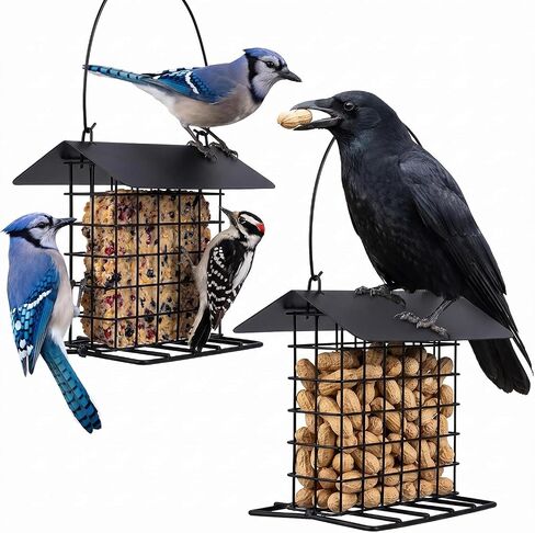 Blue Jay & Crow Peanut Feeder: Suet Cake & Bird Nesting Material Holder in Kuwait