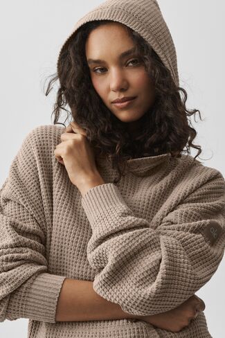 Alo Yoga Waffle Chenille Edition Hoodie - Gravel in Kuwait