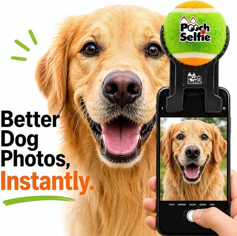 Cell Phone Dog Universal Selfie Stick, Dog Training, Tennis Ball for Dogs Photos, Pet Selfie Tool Get Your Pooches Attention (AS SEEN ON Shark Tank) - Green in Kuwait
