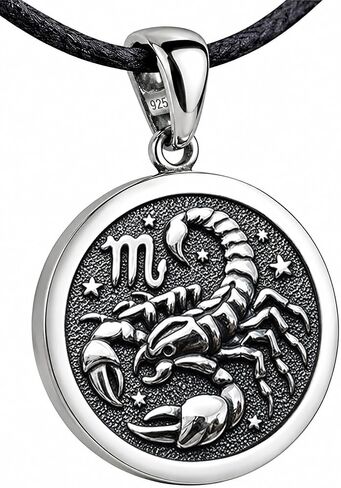 Zodiac Sign Pendant Necklace 925 Sterling Silver Horoscope Medallion Coin Disc Choker Charm Constellation Astrology Jewelry for Men Women in Kuwait