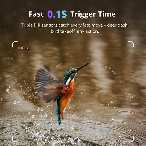 BLAZEVIDEO 48MP 1296P WiFi Trail & Game Camera with 0.1s Trigger Speed No Glow Night Vision Motion Activated IP66 Waterproof Wireless Hunting Cam with App for Wildlife Hunting, Yard Security in Kuwait
