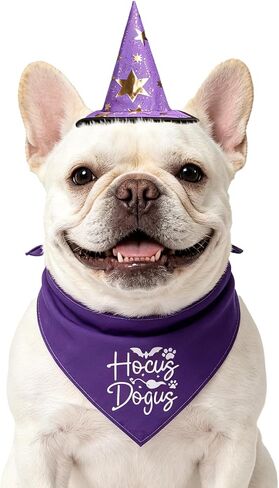 PUPTECK Dog Halloween Bandanas Scarf with Cute Doggy Wizard's Hat, Pumpkin Costumes Decorations for Small Medium Large Dogs Boy Girl Funny, Black in Kuwait