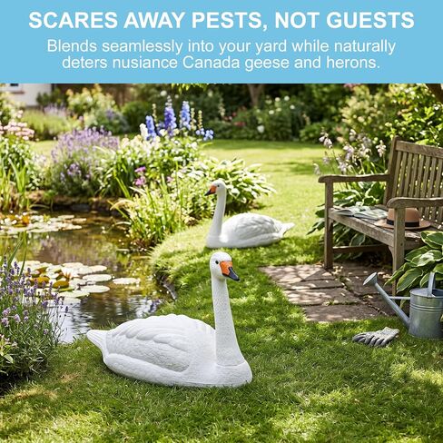 Galashield Swan Decoys for Geese | Large Floating Swan Decoy for Pool, Pond & Lake [2 Pack] in Kuwait