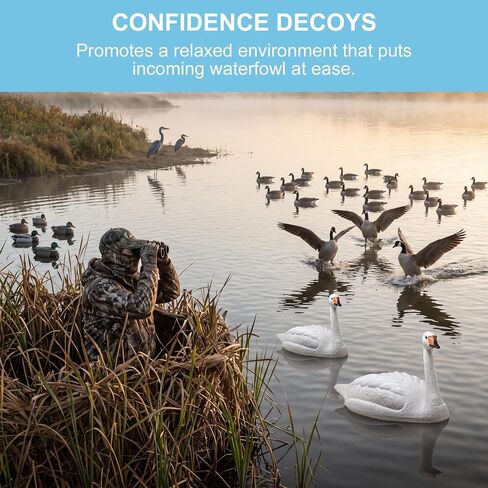 Galashield Swan Decoys for Geese | Large Floating Swan Decoy for Pool, Pond & Lake [2 Pack] in Kuwait