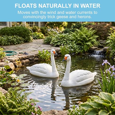 Galashield Swan Decoys for Geese | Large Floating Swan Decoy for Pool, Pond & Lake [2 Pack] in Kuwait