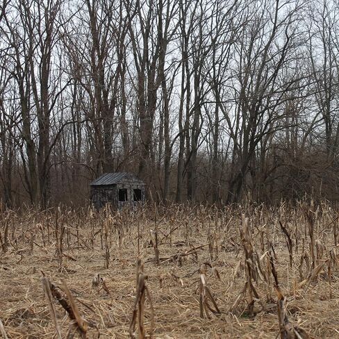 Deluxe Steel Frame True Timber® Camo 3 or 4 Person Hunting Ground Blind - (8) Shoot Through Mesh Windows and Anchoring System Included in Kuwait