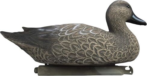 Higdon Outdoors Battleship Pintail Duck Decoys, Foam-Filled in Kuwait