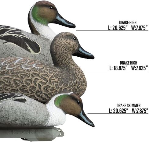 Higdon Outdoors Battleship Pintail Duck Decoys, Foam-Filled in Kuwait