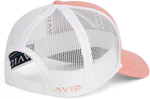 Avid Lay Day Trucker in Kuwait